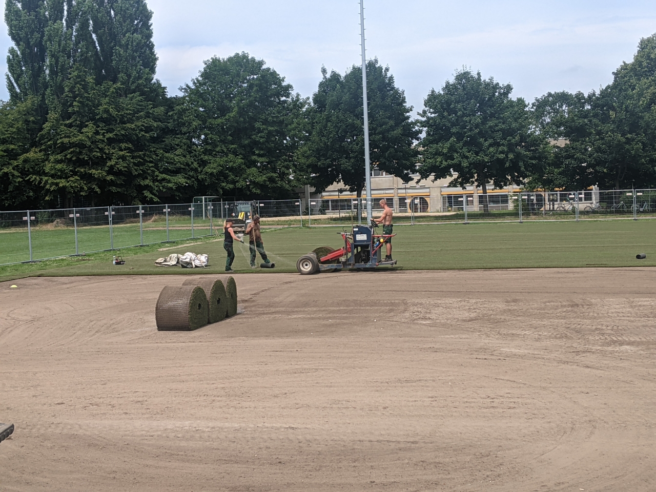 Verlegung des Rollrasens